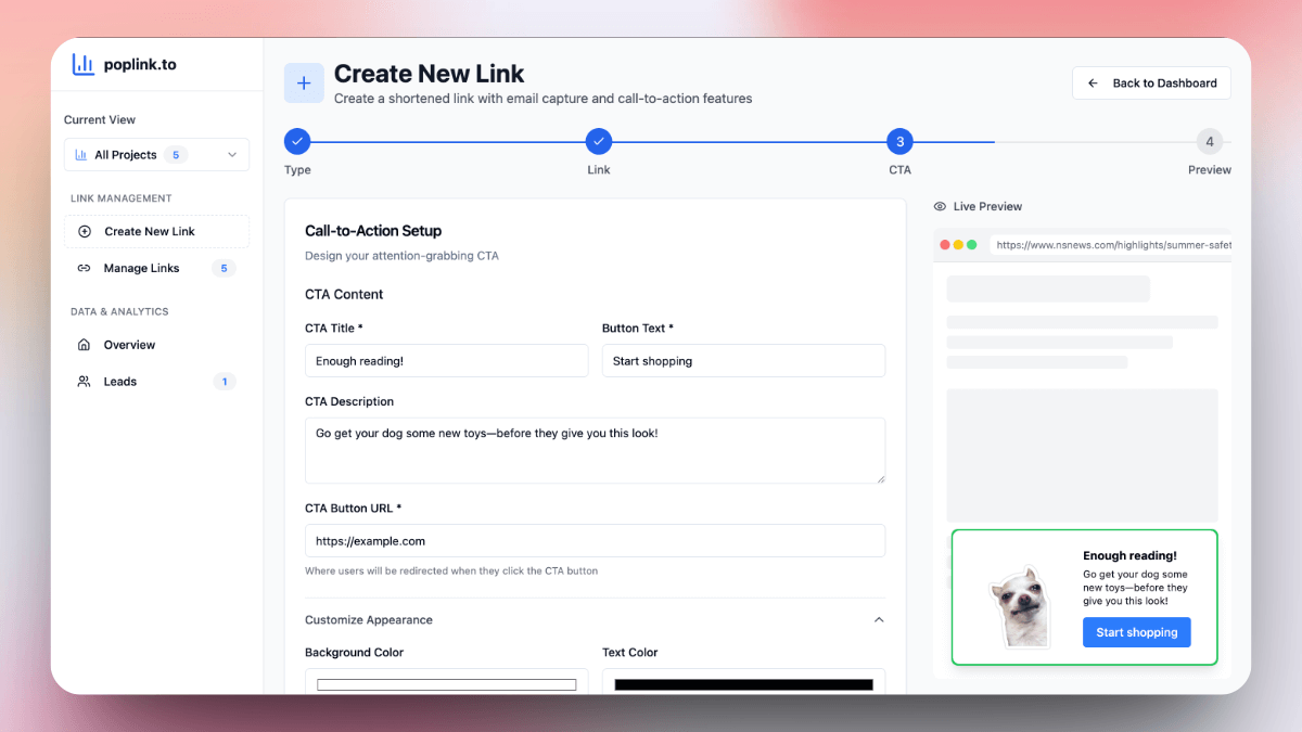 Lead magnet popup preview